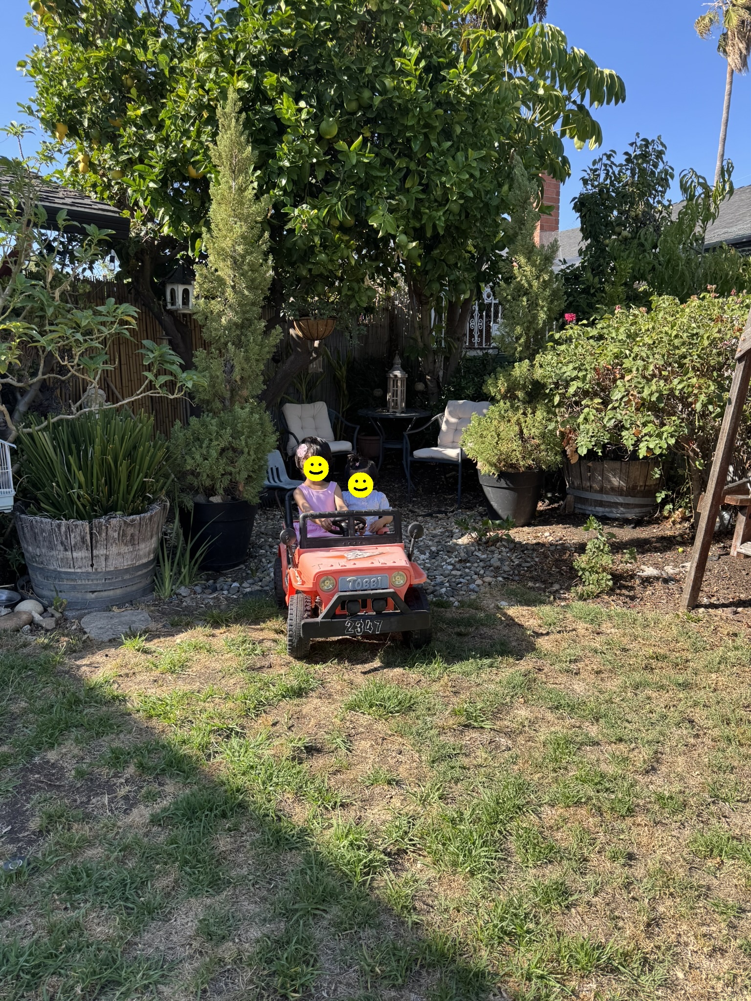 Two children riding a toy jeep through the garden backyard
